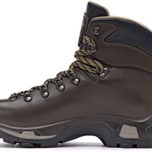 Asolo Men's TPS 520 GV EVO Long Distance, Backpacking, Trekking, Technical Terrian Hiking Boots