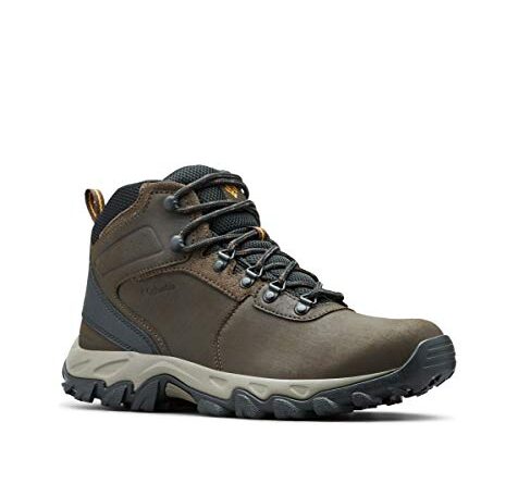 Columbia mens Newton Ridge Plus Ii Waterproof Hiking Boot, Cordovan/Squash, 13 Wide US