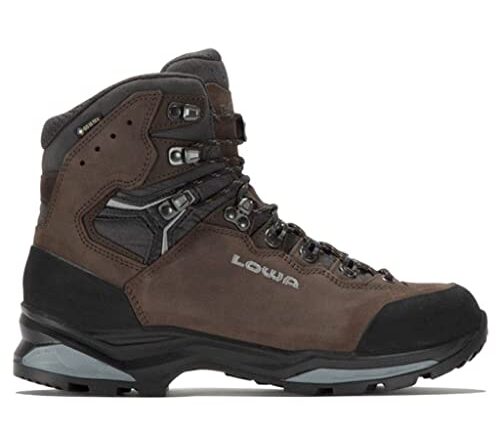 Lowa Camino EVO GTX Brown/Graphite 10.5 D (M)